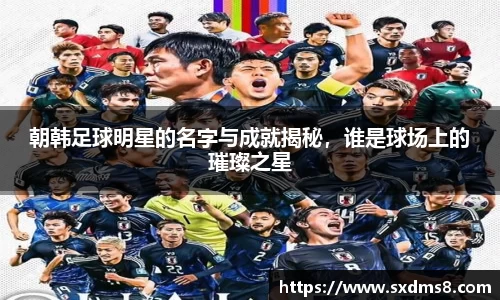 朝韩足球明星的名字与成就揭秘，谁是球场上的璀璨之星